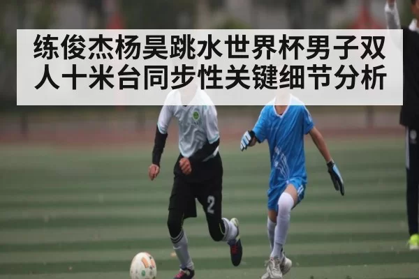 练俊杰杨昊跳水世界杯男子双人十米台同步性关键细节分析